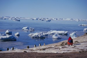 antartica-pinguinos-300-1024x682